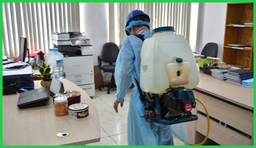 Kiểm soát côn trùng, Kiểm soát chuột và phòng chống mốI tại Hệ thống siêu thị BRGMart