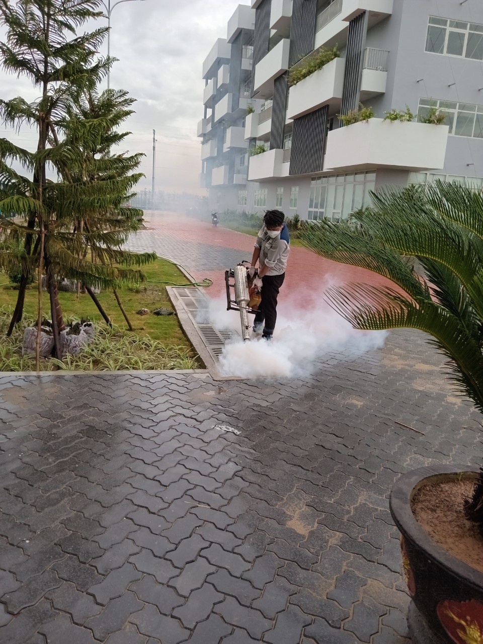 Diệt muỗi và côn trùng